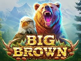 Big Brown screenshot