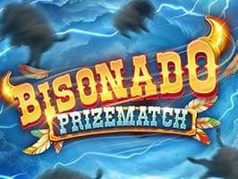 Bisonado PrizeMatch screenshot